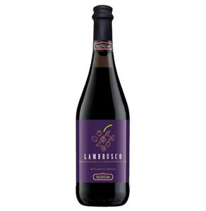 Dewijngoeroe Lambrusco Grasparossa di Castelvetro Secco - 75 CL - 10,5% Vol.