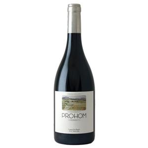 Celler Coma d'en Bonet Prohom Experientia Tinto - Garnacha &and Cabernet - 75CL - 14,5% Vol.