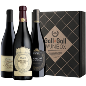 Gall & Gall Wijnbox Amarone 3x75CL