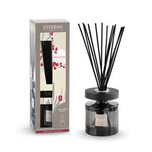 Esteban Classic Esprit de Thé Geurstokjes Ellipse 150 ml