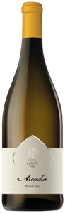 Selezioni Lavis  Arcadia Pinot Grigio 75CL