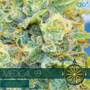 Headshop Medical 49 (CBD+) 5 seeds