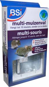 BSI Multi-Muizenval