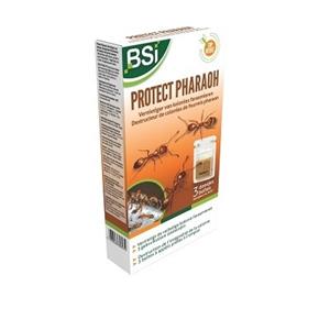 BSI Protect Pharaoh tegen faraomieren