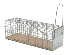 Protect Home Vangkooi voor ratten