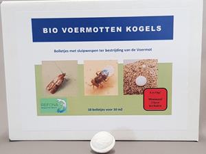 Refona Sluipwespen tegen alle soorten motten | bio voermotkogels