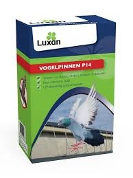 Luxan Vogelpinnen P14