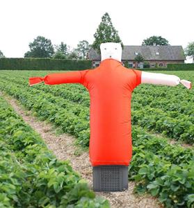 Portek Scare man Vogelverschrikker