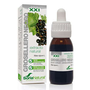 Ribes Nigrum Extract Glycine XXI Druppels