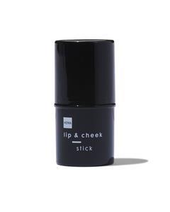 HEMA Stick Lip & Cheek Vintage Pink (oudroze)