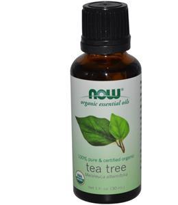 Organischen ätherischen Ölen - Teebaum (30 ml) - Now Foods