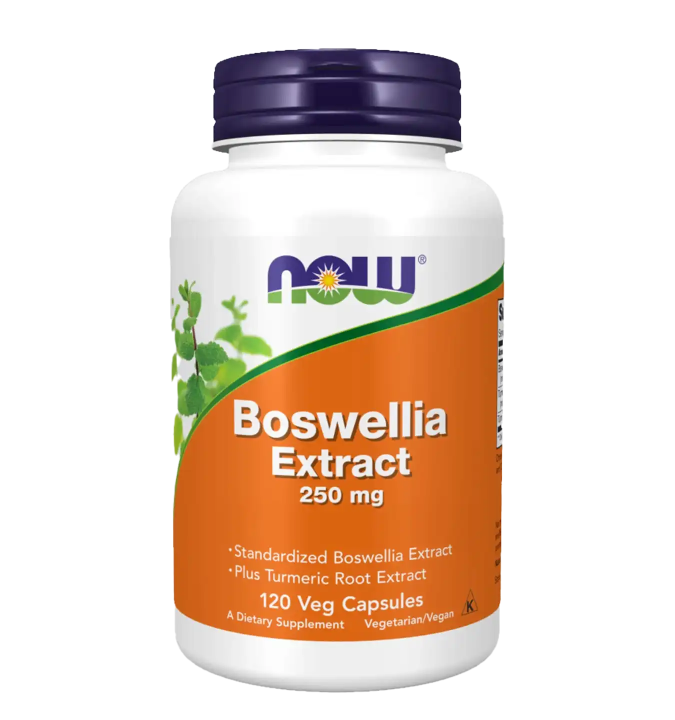 Boswellia Extract 250mg - 120 v-caps