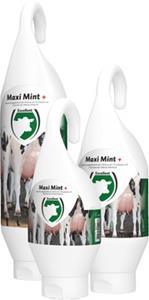 Excellent Maxi Mint tegen de eikenprocessierups 1 liter