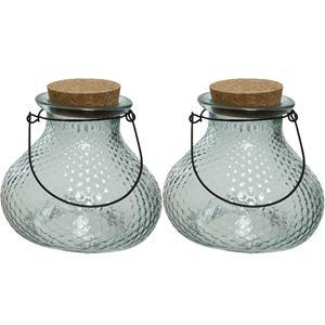 Decoris 2x wespenvanger/wespenval met hengsel - glas - lichtblauw - D14 x H13 cm -