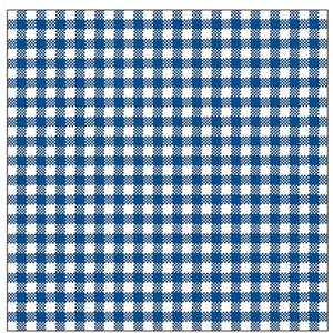 Ambiente 20x Geruite blauw/witte servetten 33 x 33 cm -