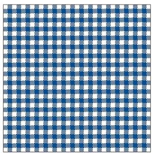 Ambiente 40x Geruite blauw/witte servetten 33 x 33 cm -