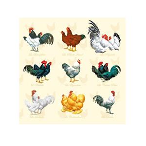 Ambiente 60x Kip/haan Pasen thema servetten 33 x 33 cm -
