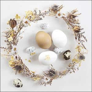 Ambiente Servetten Eggs 33cm 20 Stuks