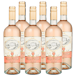 Villa Puccini Pinot Grigio blush rosé