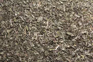 TeaKing Nana mint
 -
 Groene thee