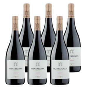 MONTAIGNAN ontaignan Merlot 6 x 750ML bij Jumbo