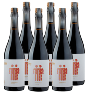 NELEMAN eleman Tempranillo Biologisch 6 x 750ML bij Jumbo