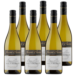 Joseph Castan xcellence Sauvignon Blanc 6 x 750ML bij Jumbo