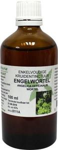 Cruydhof Natura Sanat Angelica Officinalis/engelwortel Tinctuur Bio, 100 ml