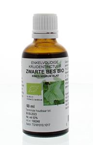 Natura Sanat Ribes Nigrum / Zwarte Bes Tinctuur Bio, 50 ml