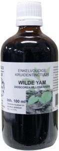 Natura Sanat Dioscorea Villosa / Wilde Yam Tinctuur, 100 ml