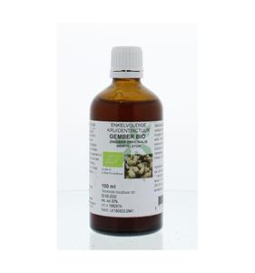 Natura Sanat Zingiber officinalis rhiz/gember tinctuur bio