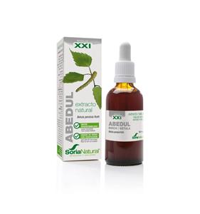 Soria Natural Betula pendula XXI extract