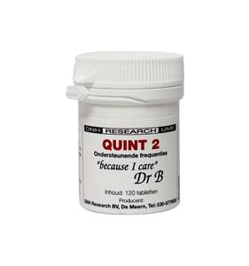 DNH Quint 2