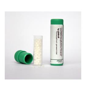 Homeoden Heel Ginkgo biloba D6