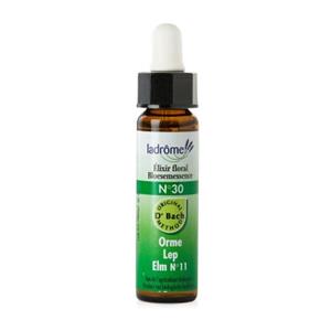 Ladrome Elm/iep 30 bio 10 ml