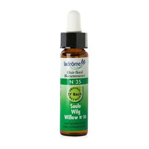 Ladrome Willow/wilg 35 bio 10 ml