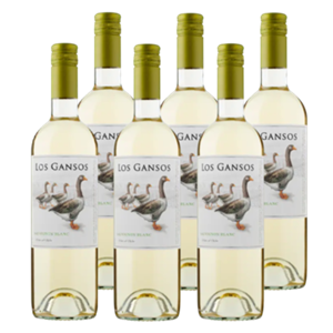 Jumbo os Gansos Sauvignon Blanc 6 x 750ML bij 