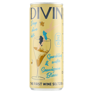 Jumbo ivin Wine Seltzer Sauvignon Blanc 250ML bij 