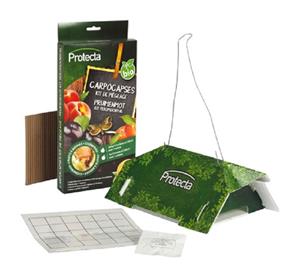 Protecta Pruimenmot Kit Feromoonval