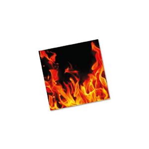 40x BBQ servetten met vlammen 33 x 33 cm -