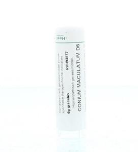 Homeoden Heel Conium maculatum d6 6 G