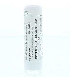 Homeoden Heel Potentilla tormentilla d6 6 Gram