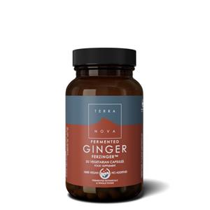 Terranova Fermented ginger 250 mg 50 Capsules