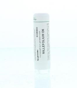 Homeoden Heel Millefolium d6 6 G
