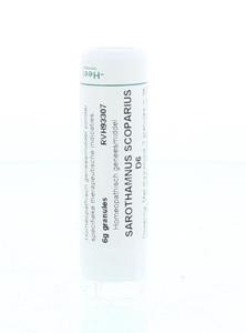 Homeoden Heel Sarothamnus scoparius d6 6 G