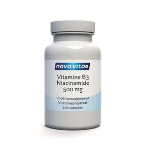 Vitamine b3 niacinamide 500 mg 100 Capsules