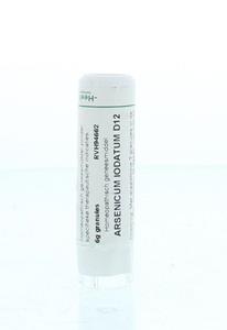 Homeoden Heel Arsenicum iodatum d12 6 Gram