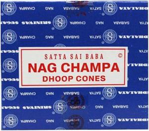 Satya Kegelwierook nag champa 12st