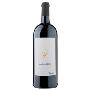 Cantina Sampietrana re Filari Negroamaro Susumaniello 750ML bij Jumbo