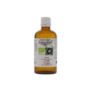 Natura Sanat Pompoenpit Tinctuur Bio, 100 ml